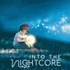 Into The Nightcore - Into the Nightcore, Vol. 6